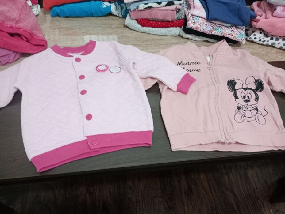 Vand lot primavara 1-2 ani