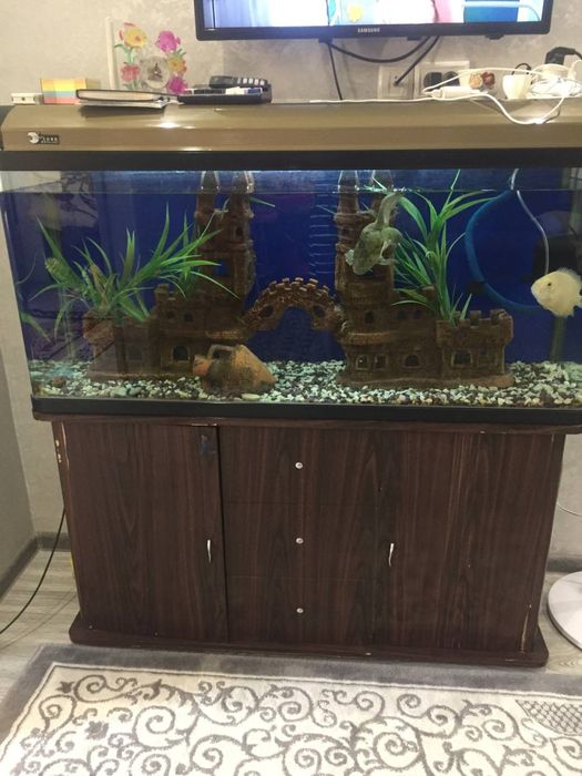 Аквариум 370 литров