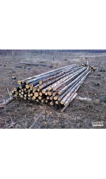 Продам жерди строй лес столбы