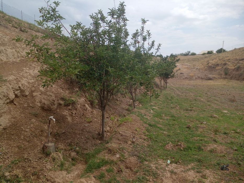 ховли сотилади хамма шароит бор