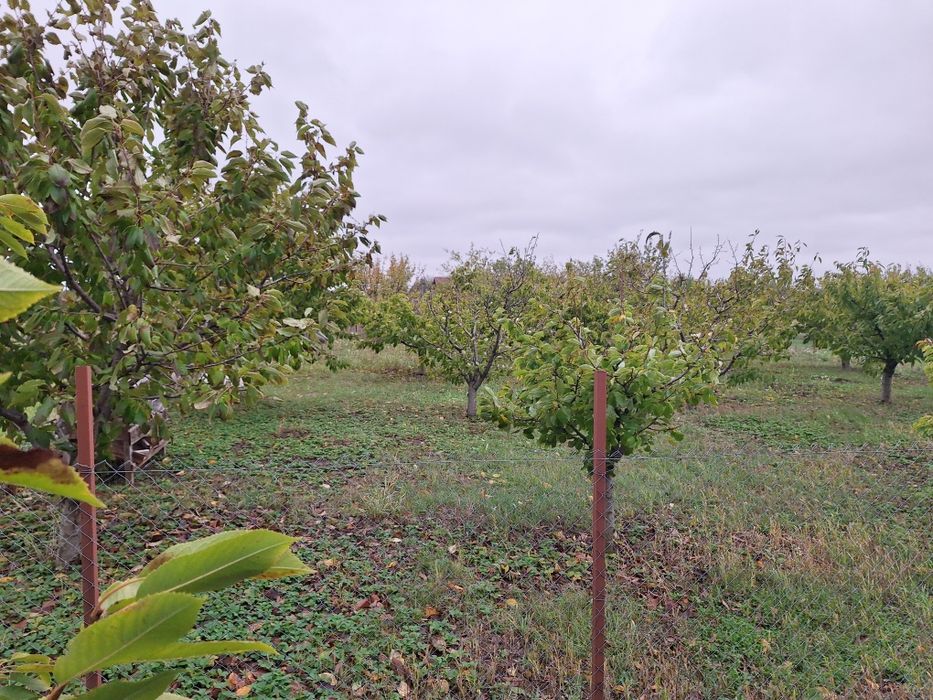 Teren intravilan 520mp – Vorovești, 85 € mp  | Zonă liniștită,