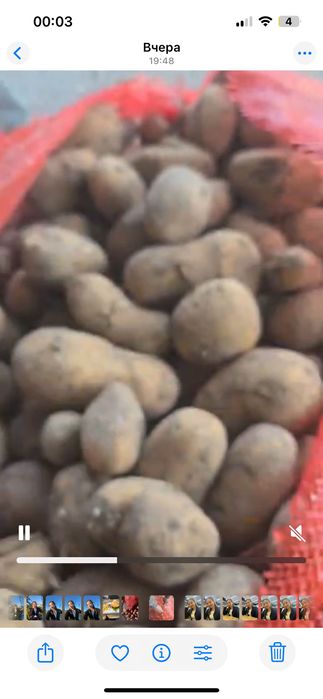 Продам картофель 2 сорт Нелеквид