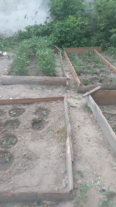 Здам в аренду дом раень Аква парк