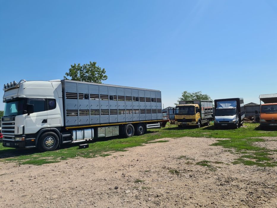 Transport animale vii .vaci cai porci oii.etc.intern extern