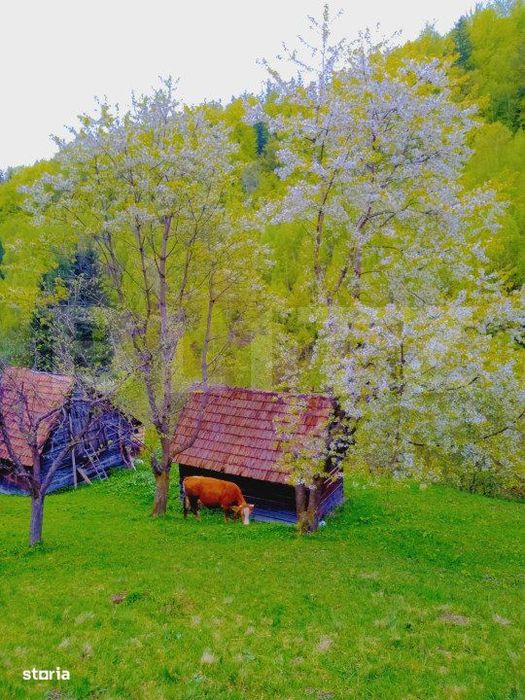 Teren intravilan agricol in Bran - Brasov