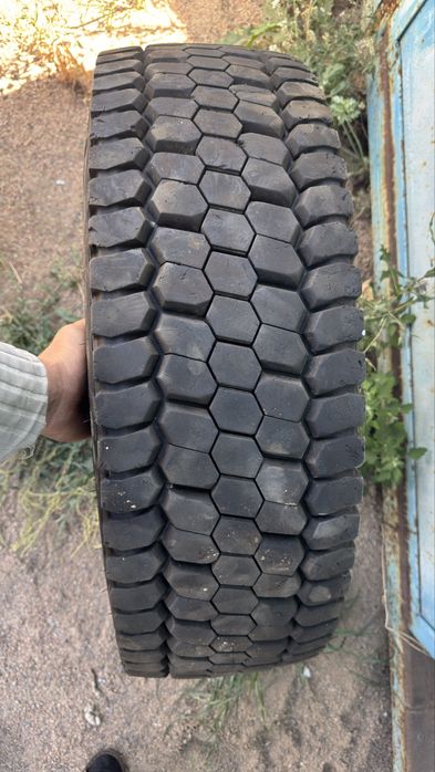 Шина 245/70/19.5