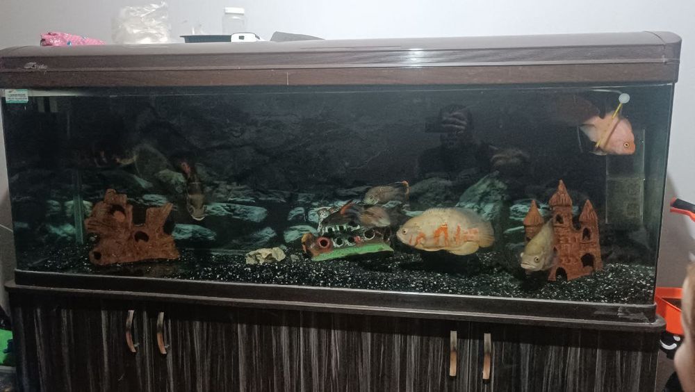 продам аквариум закваской Китай 480л