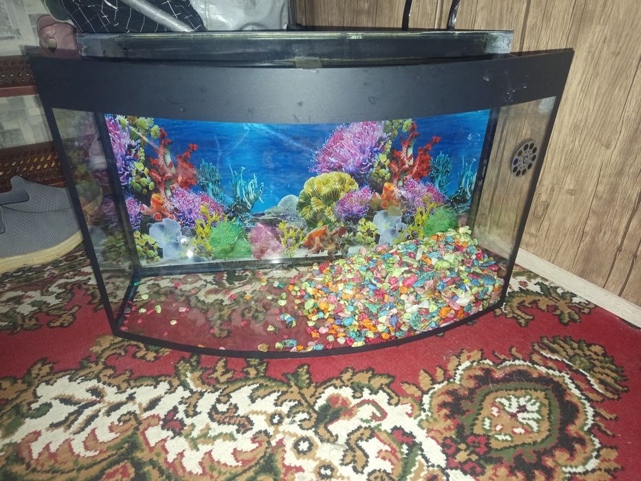 Продам аквариум 50 литров без комней