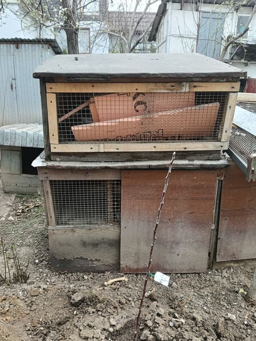 Отдам даром для кроликов.