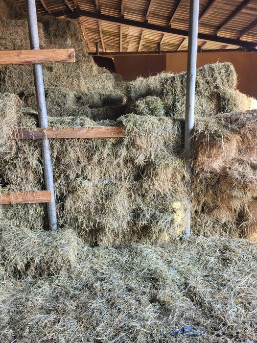 Сено и люцерина за животни.