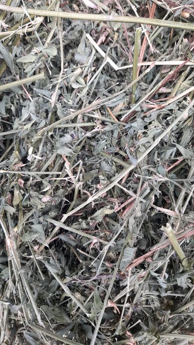 Vând baloti lucernă.