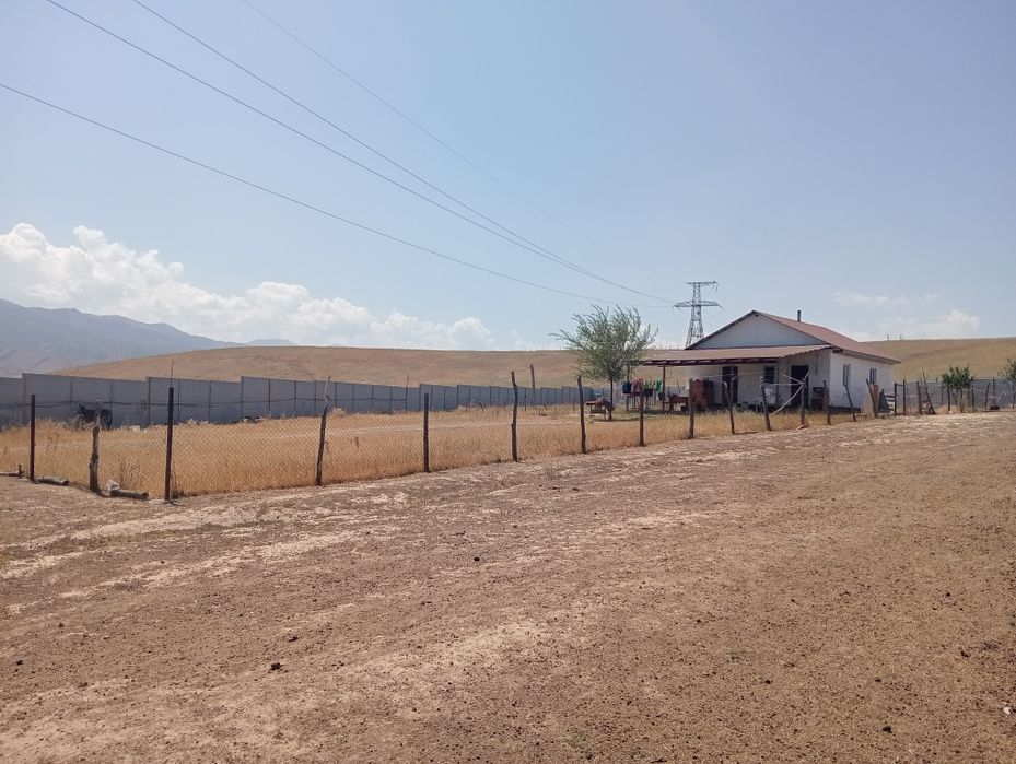 Фазенда 1 гектар