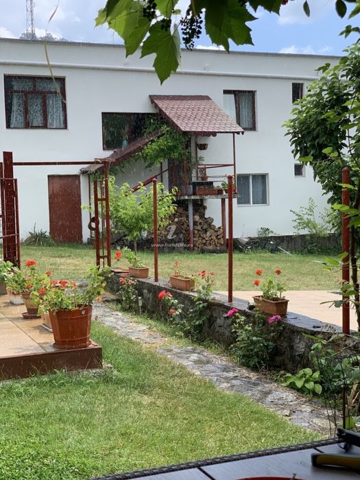 Cazare Dubova/  locație  cu piscină si ciubar în Dubova