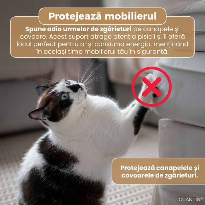 Panou dezgariat pentru pisici interactiva,ECO,durabil si tabil