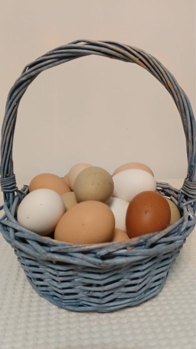 Домашние свежие яйца