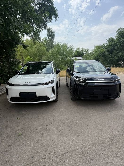 Gac Aion optom Narxlada