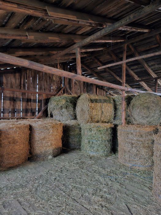 Baloți lucernă  120×110cm