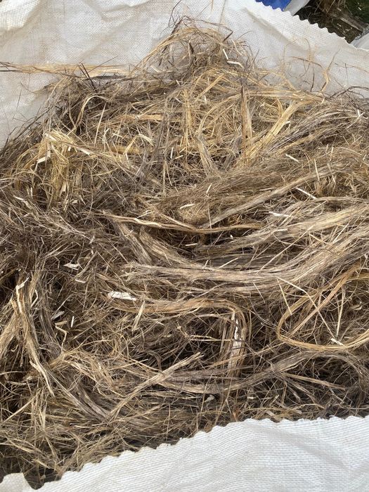 vand puzderie de cânepă uscată si curată