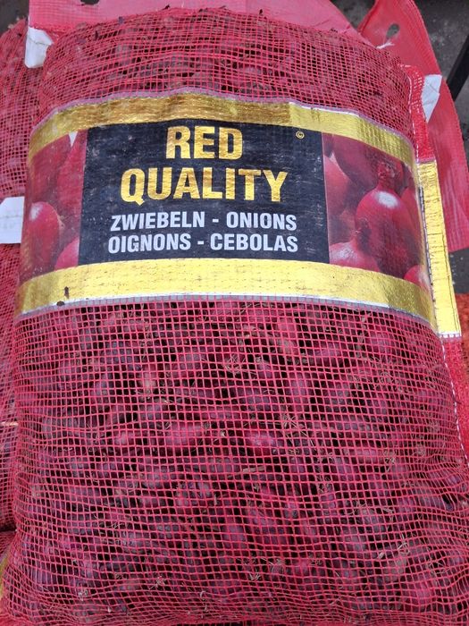 Vand arpagic Olanda 14/17