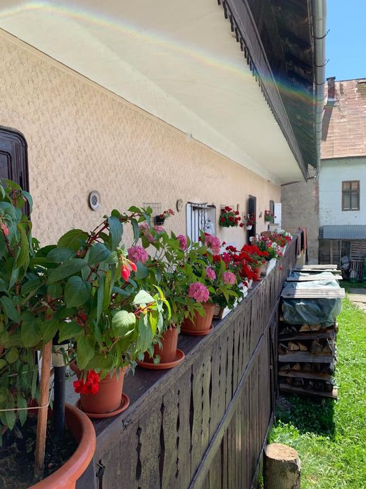 Vand Casa in centrul istoric oras Abrud