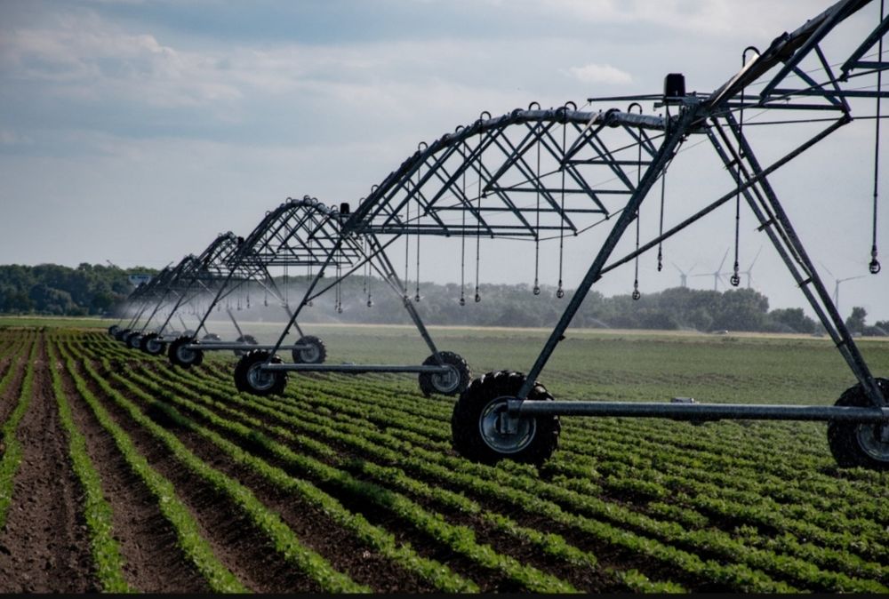 MCHJ chorvachilik  fermasi 1000 gektar yeri b.n