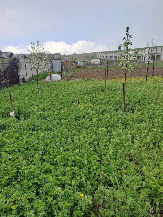 Casa Modernă de Vanzare, zona Simnicul de Sus