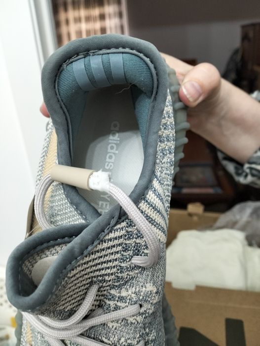 Кроссовки   Adidas