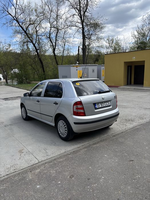 Vand Skoda Fabia 1