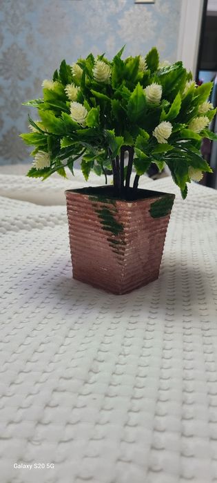 Декоративный красивый цветок в горшочке.