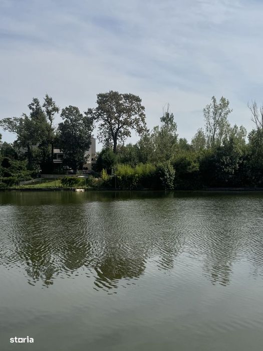 Teren Mogosoaia Lac