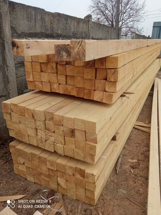 1000mc oferim transport