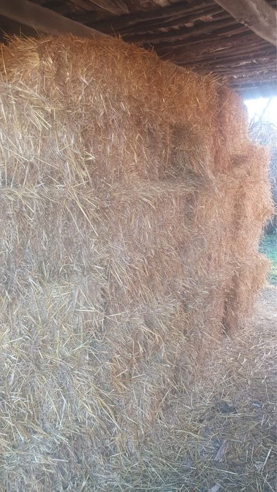 Baloti din paie de ovăz