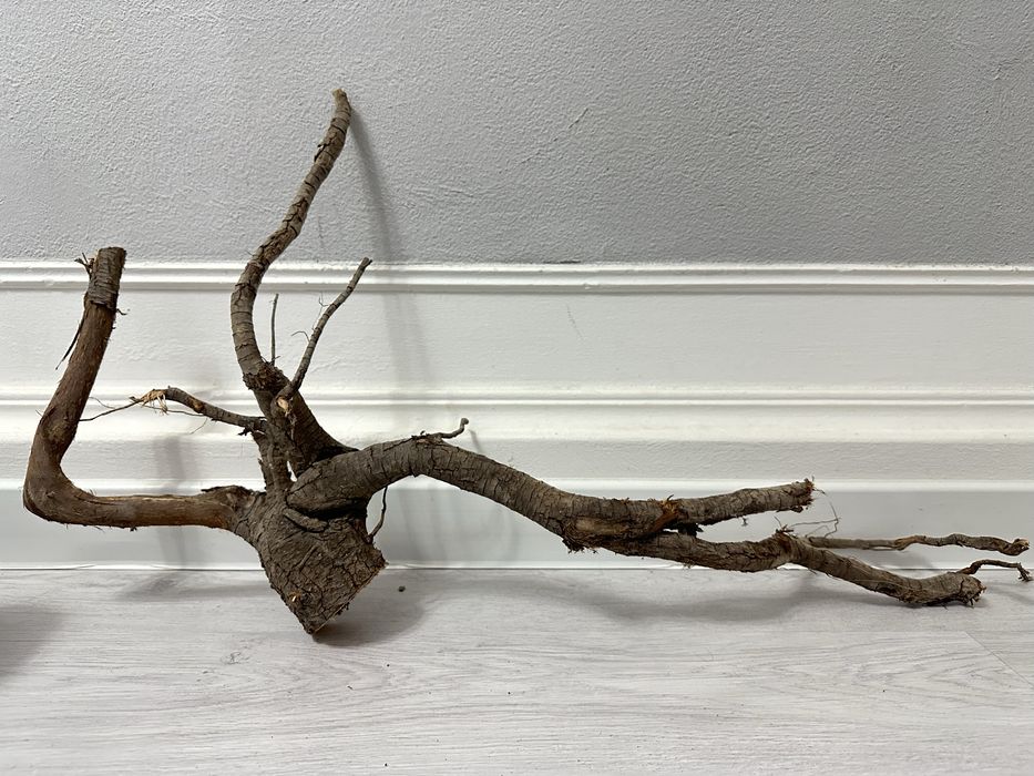 Коряга для аквариума