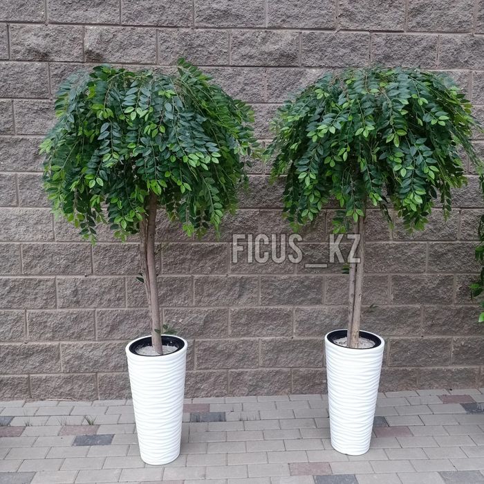 Искусственные деревья ручная работа