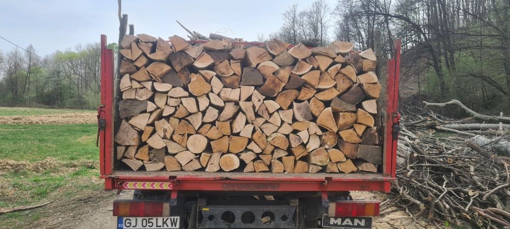 Carbune lignit si lemne de foc