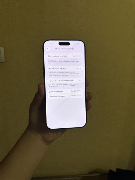 iPhone 17 Pro Max 256GB.100%.ЕАС! Идеальный.