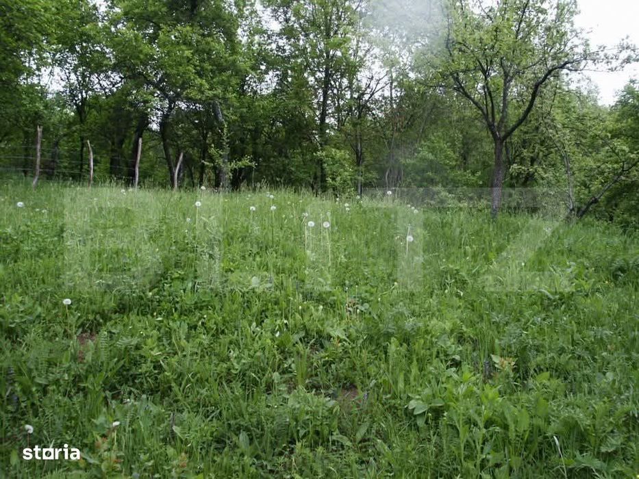 Teren de vanzare, 884 mp, zona Runcu