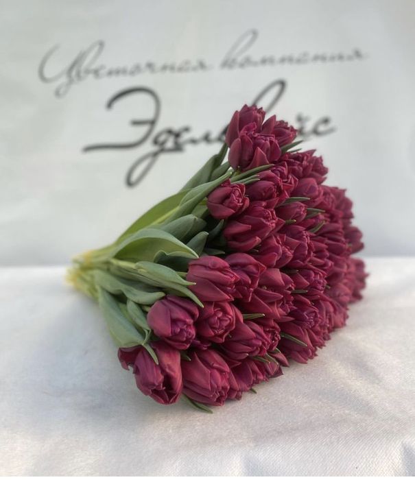 Тюльпаны на 8 марта