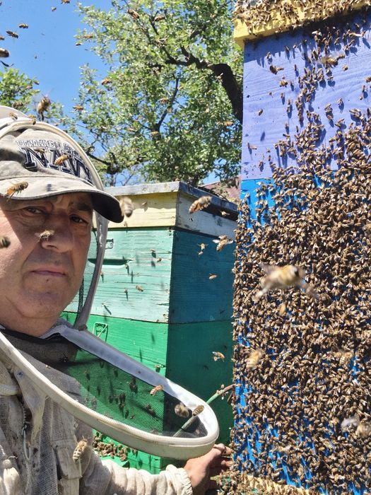 Vând Miere Naturală 100% . Direct de la Apicultor. Gustă diferența!
