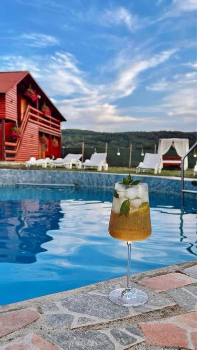Cabană cu piscină si Jacuzzi , 17 locuri de cazare .
