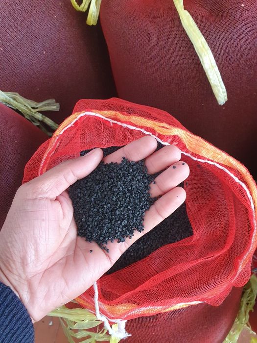 Banko nomli piyoz urug'i 100% ishonchli