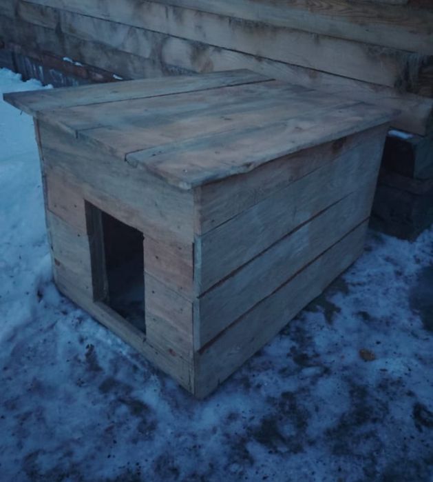 Срочно не дорого