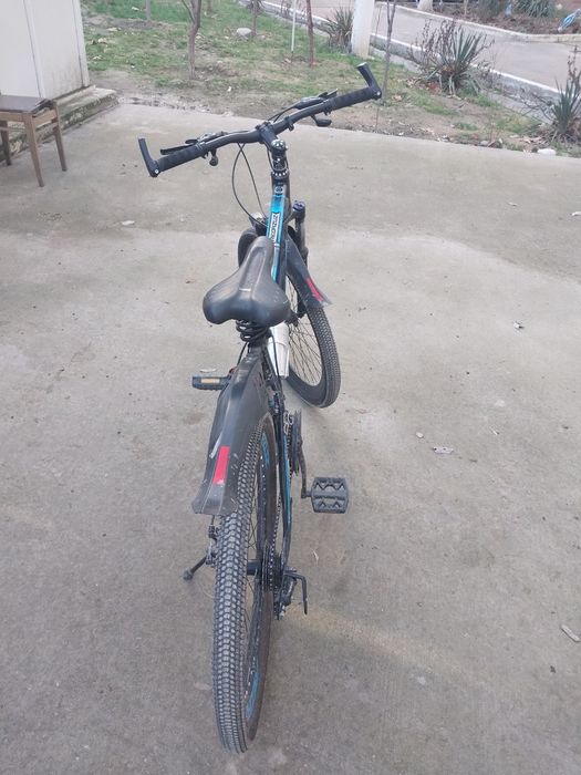 Velosapedni xolati edial yengi