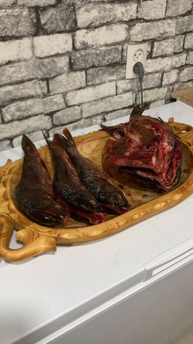 Сазан Иргизский реч