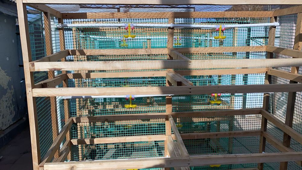 Клетки для кур, несушек и для бролиров