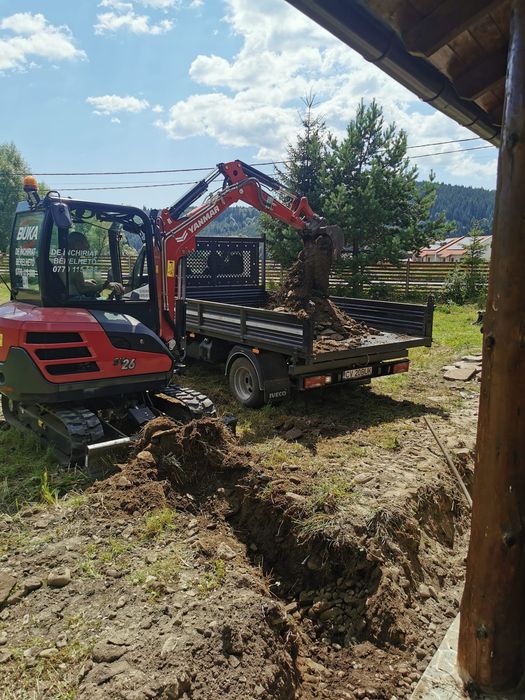 Excavator Yamnar de 2,6T si mașină de 3,5 T de închiriat