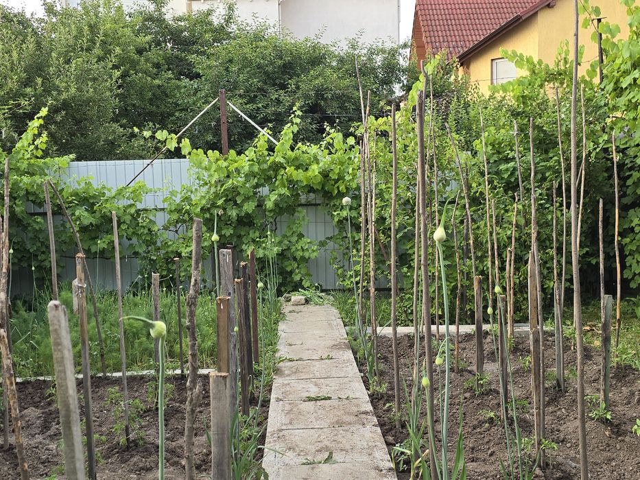 Vând Casă zona Calea Dumbrăvii-strada Bacovia 545.000 euro