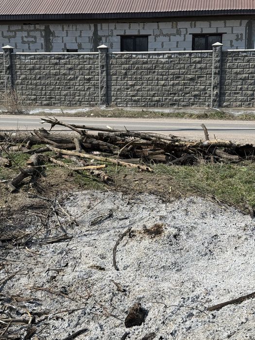 Бесплатно дрова Тегін Отын