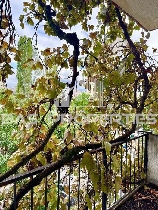 4-стаен в София-Бъкстон площ 80