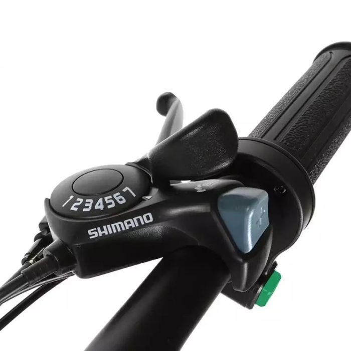 Bicicleta electrica
